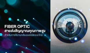 Article-mionic03 (1).jpg