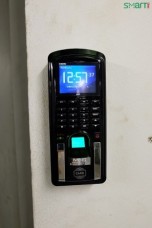 IMG_2020 4_400x600