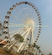 IMG_0320_560x600