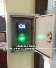 IMG_5317_497x600