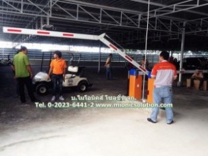 img_1262_800x598