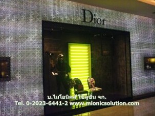 Dior 01