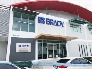 brady (12)