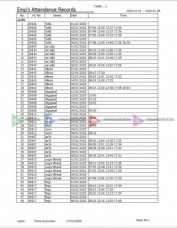 รายงานข้อมูลแบบง่าย