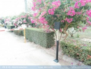SDT107_โรงพยาบาลฟากท่า (11)